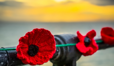 Council matches Royal British Legion fundraising with £10,000 donation following Poppies on the Pier success – Southend-on-Sea City Council