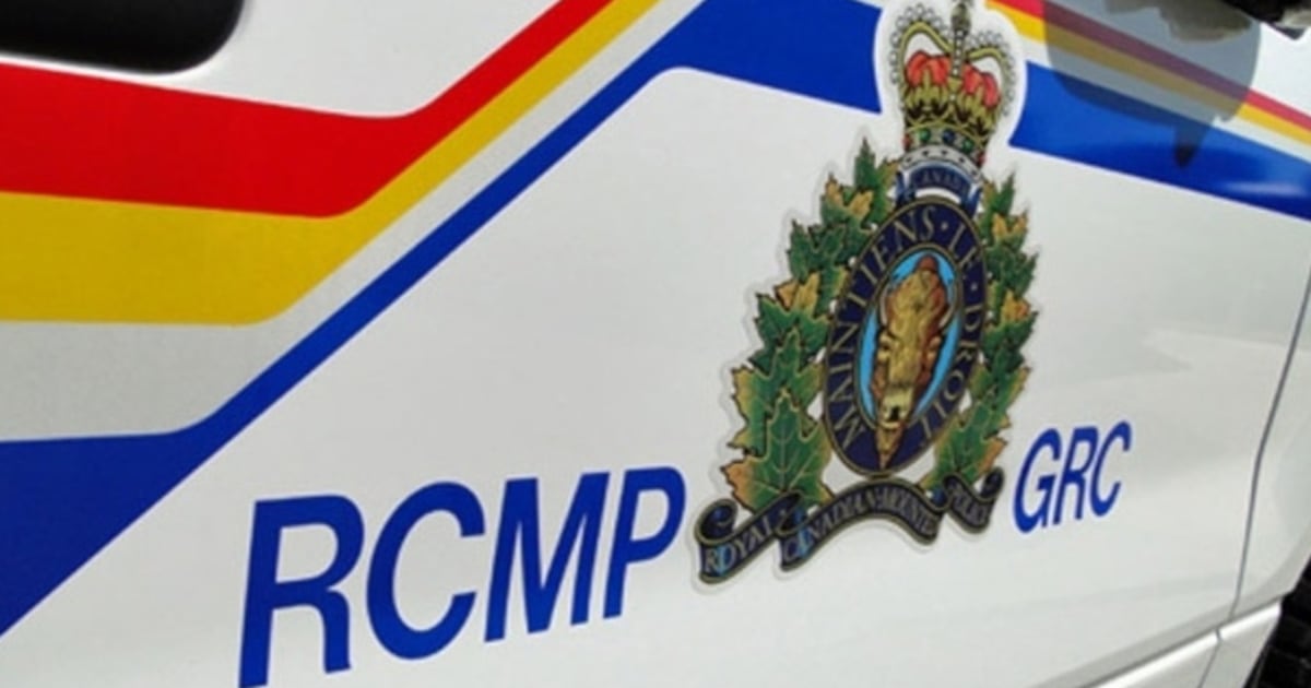 RCMP arrest 4 in Ottawa after investigation into shipping drugs via Canada Post - CTV News