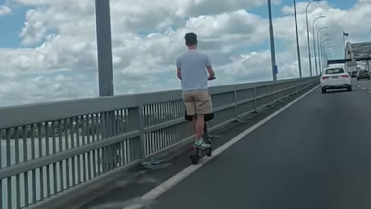 Electric scooter rider on Auckland Harbour Bridge stuns drivers with risky midday commute