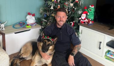 Police dog Teo - burned in Rotorua geothermal water - on road to recovery