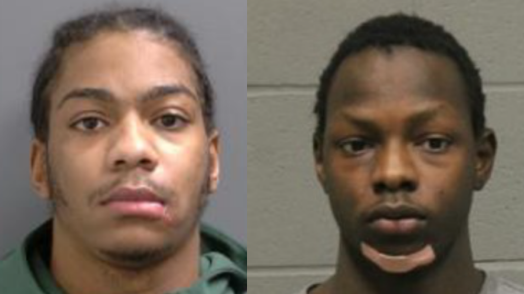 Two suspects remain outstanding. They were identified as Trestin Cassanova-Alman, 24, of no fixed address, and Ingram Mohamed, 20, of Hamilton. Photo: YRP.