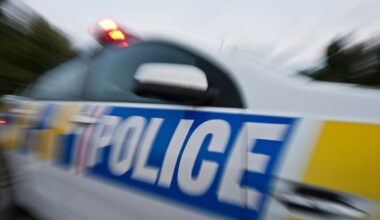 Man arrested with samurai sword after armed police swarm central Auckland