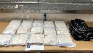 Young man arrested over $4.5m of meth discovery at Auckland Airport