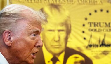 Trump launches $1m ‘gold card’ visa scheme amid immigration crackdown – The Irish Times