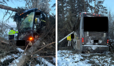 2 Junior A hockey players hospitalized after crash in northern Alberta - CTV News