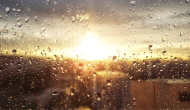 SunLive - Thunderstorms, heavy rain on the way