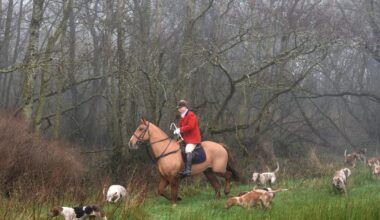 Hunting splits rural community as St Stephen’s Day chase held – The Irish Times