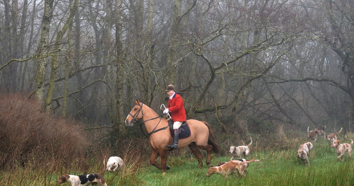 Hunting splits rural community as St Stephen’s Day chase held – The Irish Times