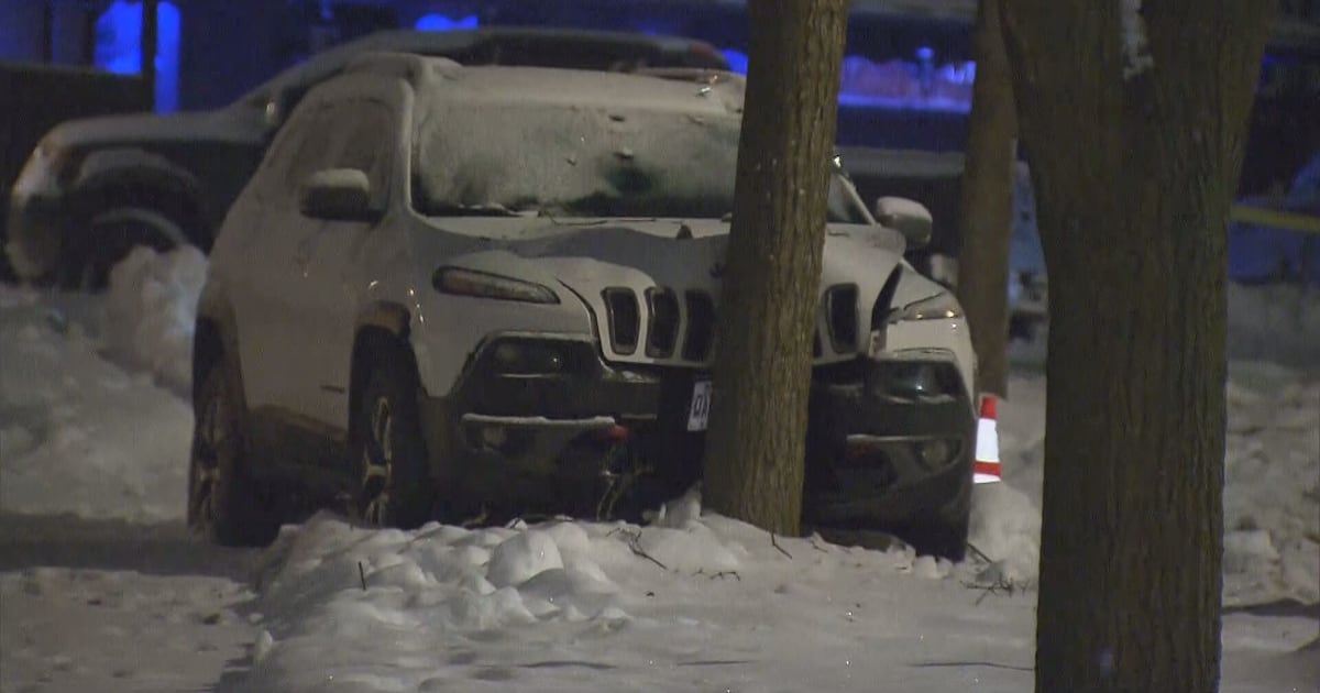 Police investigate fatal shooting in Kitchener, suspect still at large - CTV News