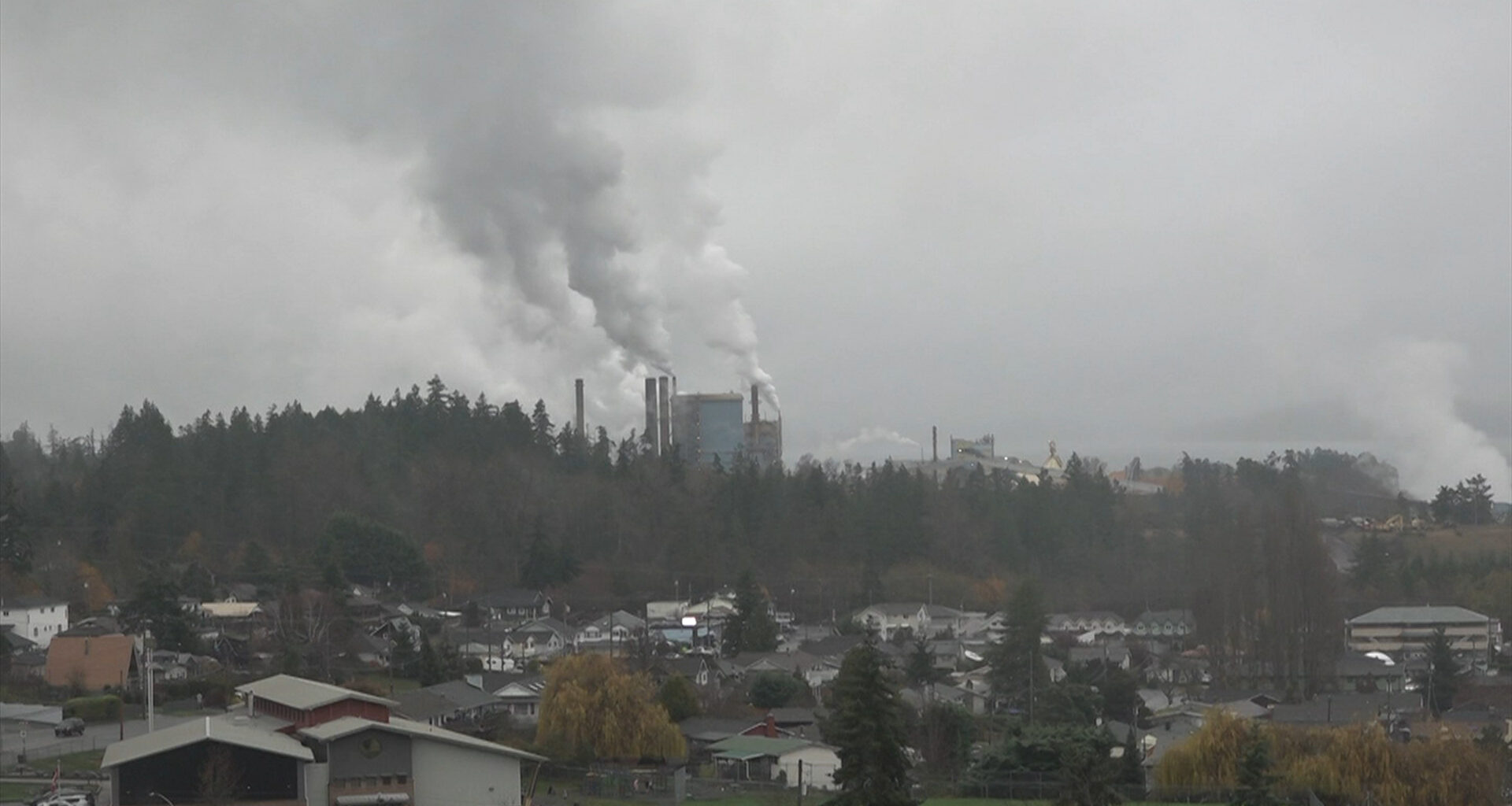 Crofton, B.C. pulp mill to close down, roughly 350 people affected