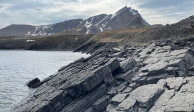 Brain circuits, bioturbation, and a new physics doc