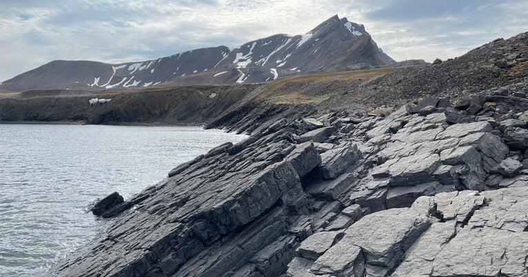 Brain circuits, bioturbation, and a new physics doc