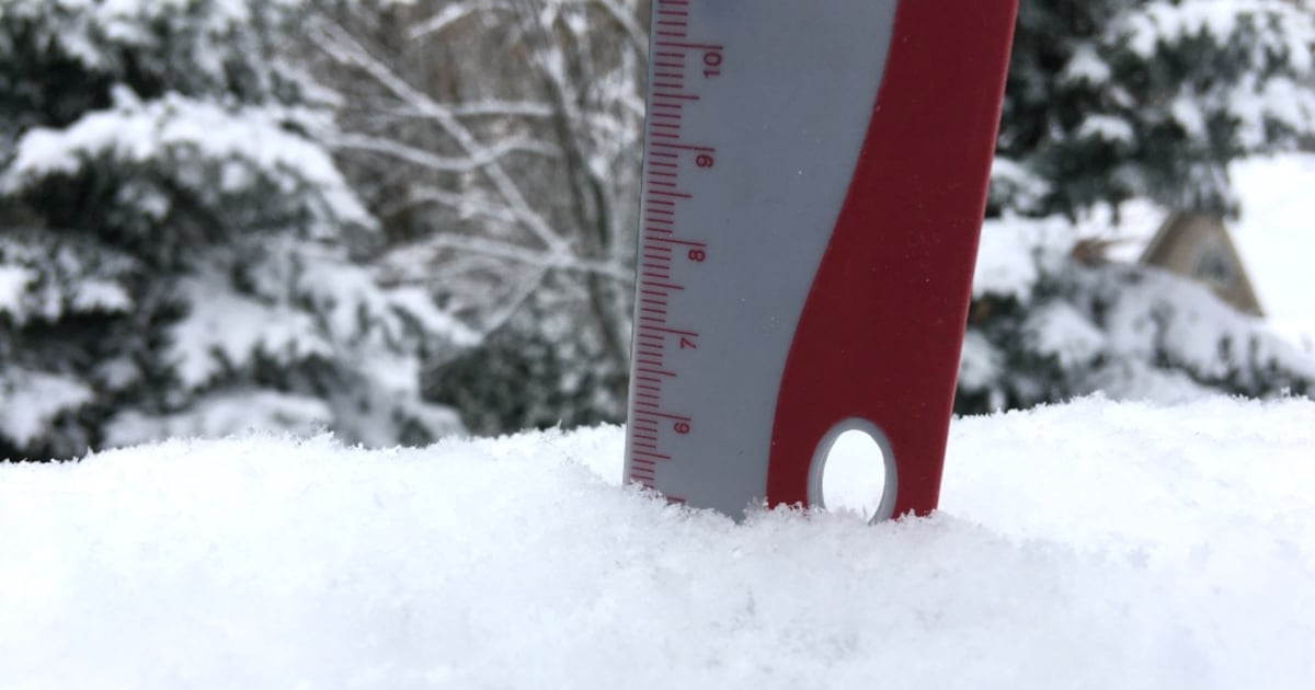 Snow squalls set to sweep the region with up to 30cm expected - CTV News