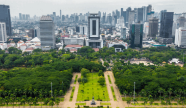 Enhancing Sustainable Finance Governance: The Role of the Sustainable Finance Committee in Policy Harmonisation and Cross-Institutional Coherence