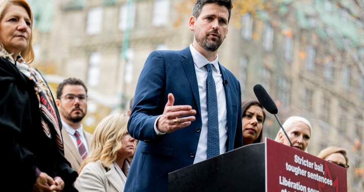 Liberals adding femicide, pornographic deepfakes to Criminal Code - National