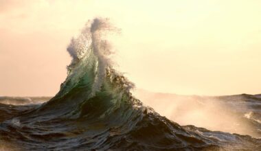 SunLive - New tsunami flood maps for Western BOP