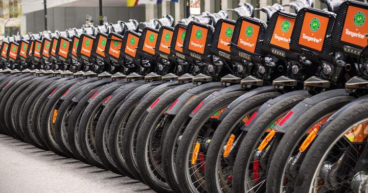 Toronto bike share probing loyalty program, seeking $41M in new funding - Toronto
