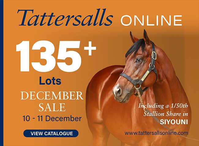 Tattersalls Online 12-10-2025