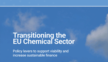 Policy levers to support viability and increase sustainable finance – United Nations Environment – Finance Initiative
