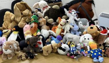 Civil Enforcement Officers donate Christmas toys