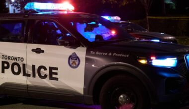 2 people injured, suspect in custody