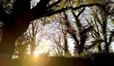 Winter sunshine and settled conditions set to continue in coming days – The Irish Times