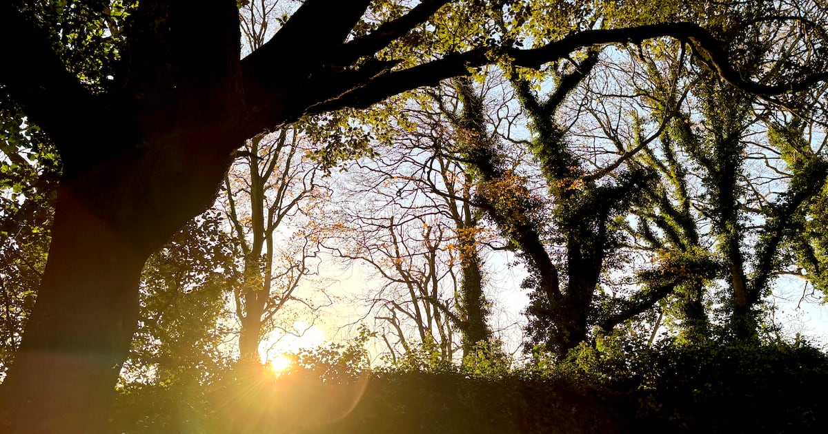 Winter sunshine and settled conditions set to continue in coming days – The Irish Times