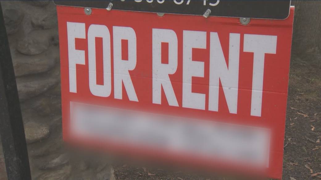 Click to play video: 'Investigating AI driven rent increases'