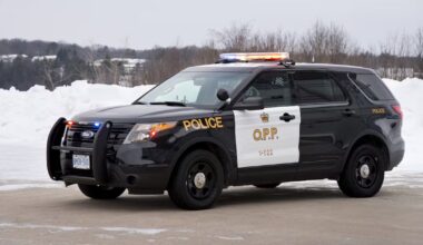 Remains of Ottawa man discovered in community east of North Bay - CTV News