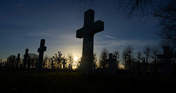 U.S. removal of panels on Black WWII soldiers in Netherlands draws backlash - National