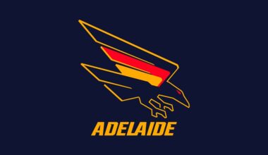SA Police Commissioner Grant Stevens joins Crows Board