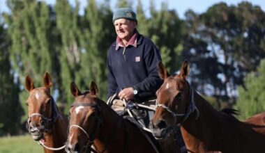 Whanganui farrier Kevin Schimanski dies in polo match accident
