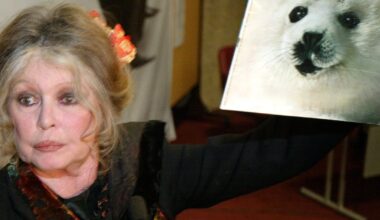 French actor Brigitte Bardot remembered in Canada for fighting seal hunt - CTV News