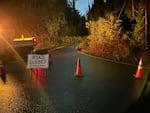 A 'Road Closed' sign and orange traffic cones block the road in the foreground. In the background, a fallen tree spans the with of the roadway