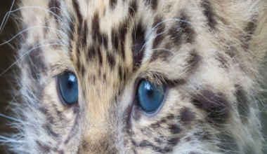 Stories you may have missed