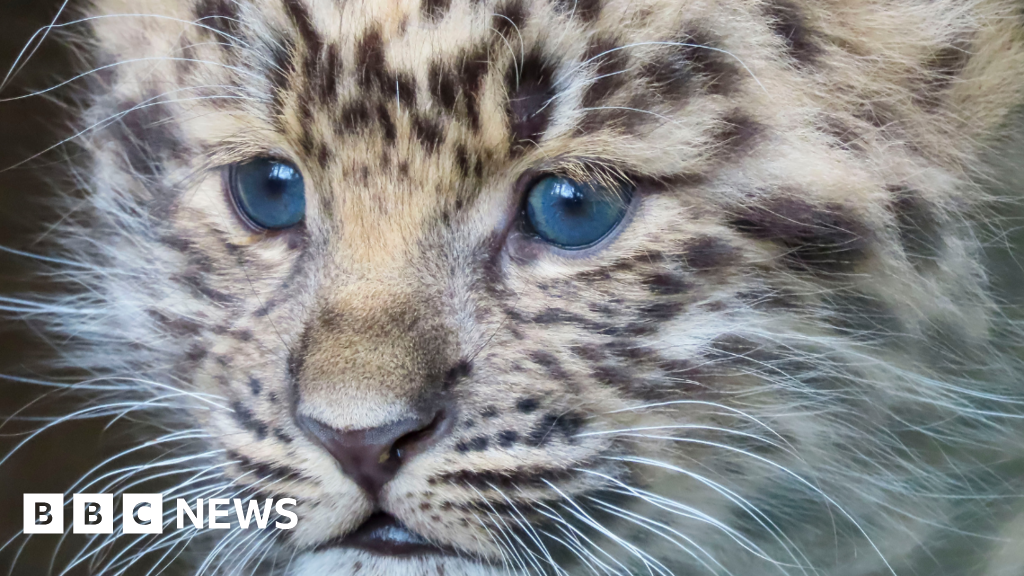 Stories you may have missed