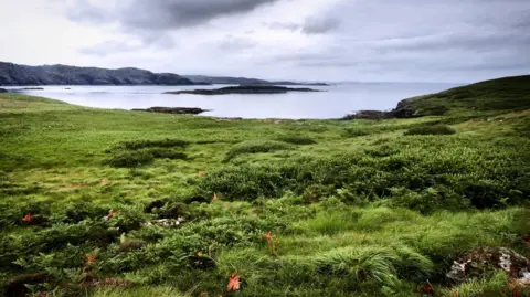 Getty Images A wide grassy area that goes down the sea. The sea is flat calm under a cloudy, grey sky.