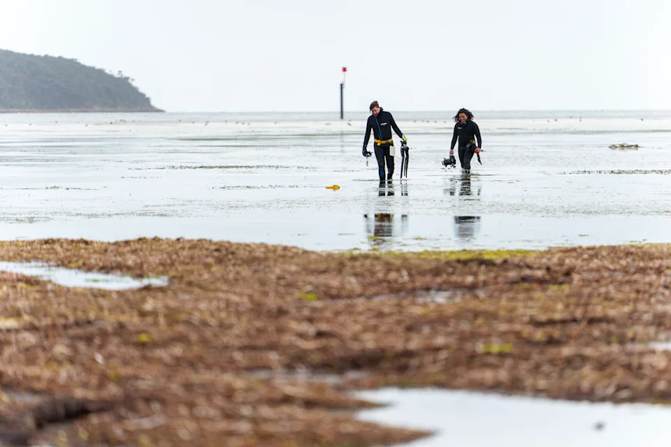 Two divers walking out of the water at Kangaroo Island.