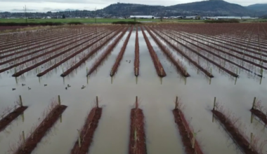 Hundreds under evacuation orders, alerts from B.C. atmospheric river - BC