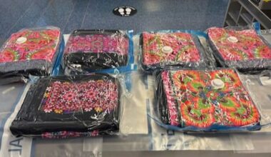 Kiwi allegedly tried to smuggle 21kg of heroin through Sydney Airport