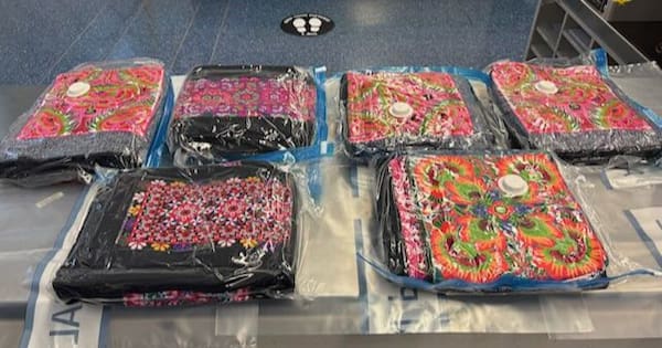 Kiwi allegedly tried to smuggle 21kg of heroin through Sydney Airport