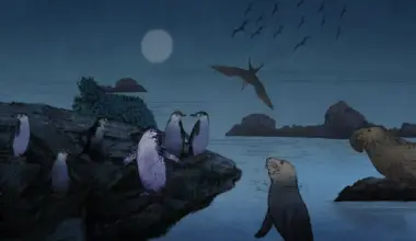 What tiny brain monitors are teaching us about extreme animal sleep habits