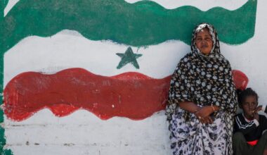 African regional bodies reject Israel's recognition of Somaliland