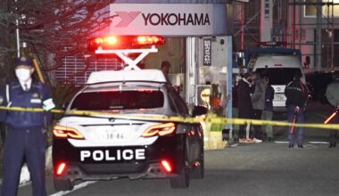 Stabbing and chemical liquid attack in Japan tire factory injures 15