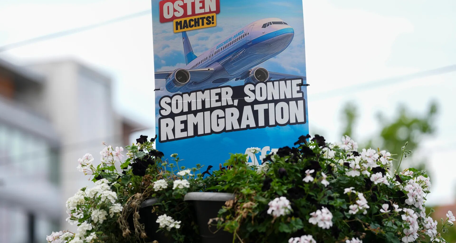 What is remigration, the far-right fringe idea going mainstream? | Migration News