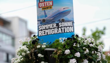 What is remigration, the far-right fringe idea going mainstream? | Migration News