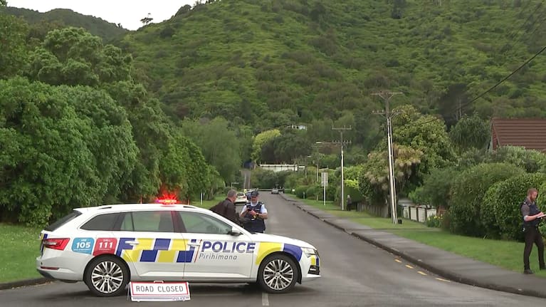 Armed police investigating a scene on Kākāriki Grove on Wednesday.