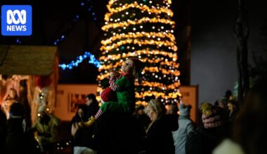 Türkiye detains 115 alleged Islamic State members 'planning attacks during Christmas'