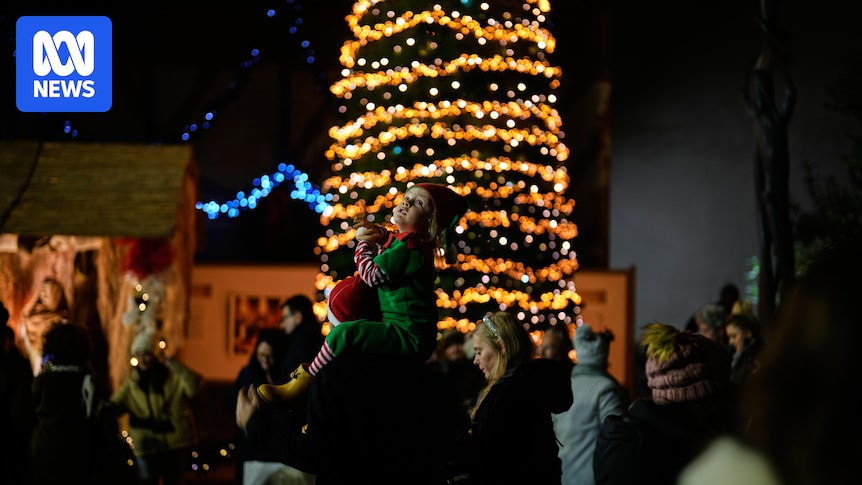 Türkiye detains 115 alleged Islamic State members 'planning attacks during Christmas'