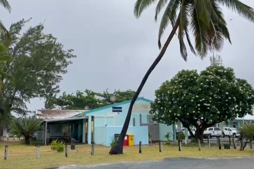 A palm tree outside a green building with a cloudy sky.